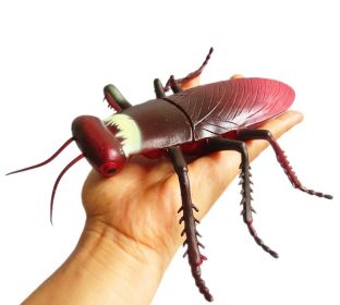 2 Pcs Large Artificial Simulated Cockroach Halloween Joke Trick Scary Toys Kids Educational Model