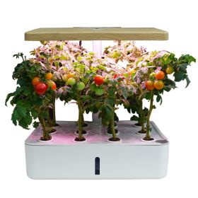 Hydroponics System Box Intelligent Full Spectrum Grow Light Mini Green Garden Plant Vegetable / Flower / Fruit - 12 holes