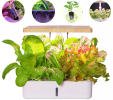 Hydroponics System Box Intelligent Full Spectrum Grow Light Mini Green Garden Plant Vegetable / Flower / Fruit - 12 holes