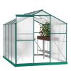 6 x 8 FT Polycarbonate Greenhouse with Roof Vent for Outdoors Gardening Canopy Plants Shed, Silver/Green - Green