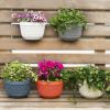 Flowerpot Fade-less Fall-resistant Ornamental Drain Hole Eco-friendly Plant Pot Plant Accessories - White - L