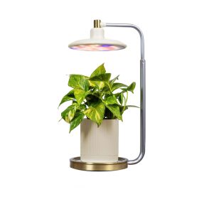 Tabletop Grow Light for Indoor Plants, Cream