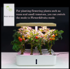 Hydroponics System Box Intelligent Full Spectrum Grow Light Mini Green Garden Plant Vegetable / Flower / Fruit - 12 holes