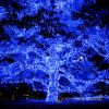 100LEDs Blue Solar String Light - As Picture