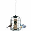 Outdoor Metal Seed Guard Deterrent Squirrel-Proof Caged Tube Wild Bird Feeder  - green - bird