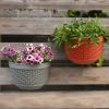 Flowerpot Fade-less Fall-resistant Ornamental Drain Hole Eco-friendly Plant Pot Plant Accessories - White - L