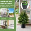 2-Pack Artificial Cedar Topiary Ball Tree with Cement Pot - Green