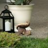 Outdoor Garden Lawn Bird & Wildlife Supplies Feeder - As pic show - Style A