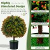 2-Pack Artificial Boxwood Topiary Ball Tree with Orange Fruit - Green, orange