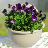 Wall Mounted Plant Pot Plastic Flowerpot Basket Planter Home Garden Decoration  - Gray - S