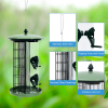 Outdoor Metal Seed Guard Deterrent Squirrel-Proof Caged Tube Wild Bird Feeder  - green A - bird