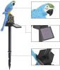 Parrot Decor Garden Solar Light - Blue