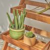 Malibu Outdoor Three-layer Wood Garden Plant Stand - as Pic