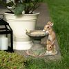 Garden Lawn Outdoor Bird Supplies Feeder & House - As pic show - Style C