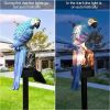 Parrot Decor Garden Solar Light - Blue